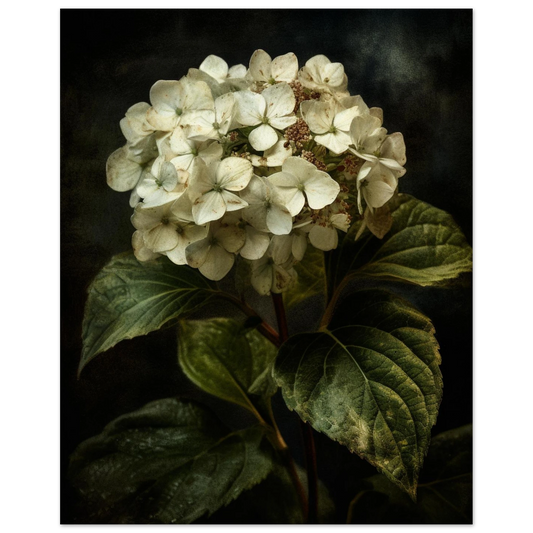 407afa38-6602-4d86-a082-3532d4c2551a