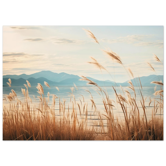 5e1140f6-7926-4590-92a6-0e88f81a4d86