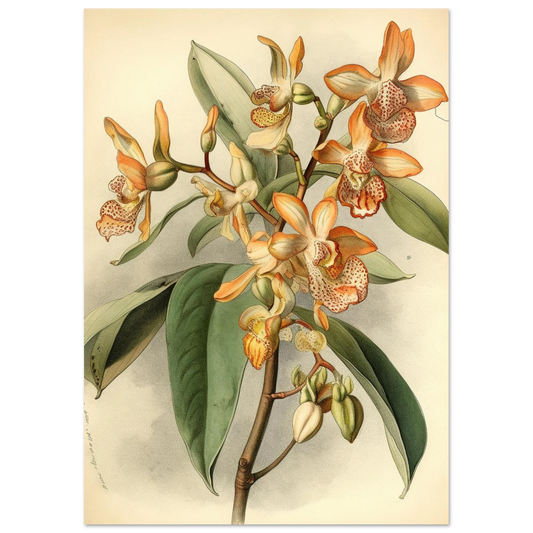 a2f3e172-252b-4239-9371-2725dbd6c41b