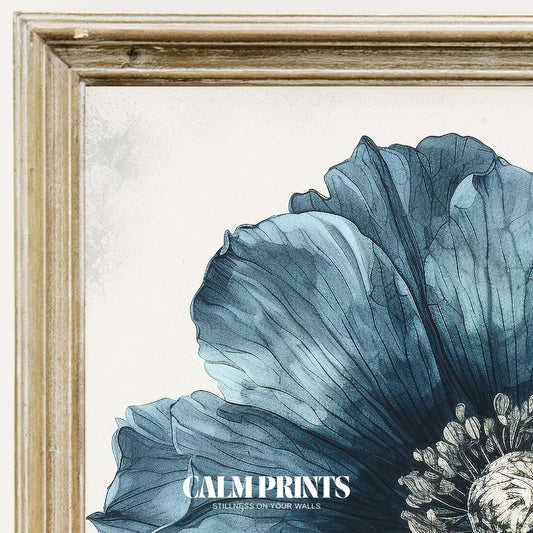 Botanical art print of a softly detailed blue flower illustration