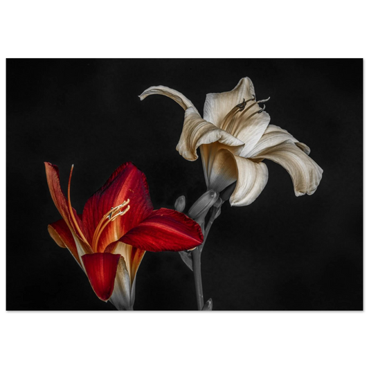 c45864b7-fe03-4842-9162-4bac32a984a0