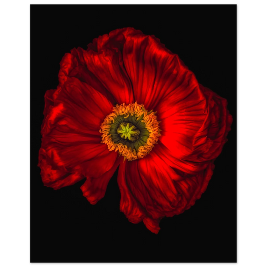 c4edbc15-4733-4104-b662-fda9024a8860