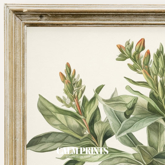 Art print capturing the serene beauty of a blooming botanical garden