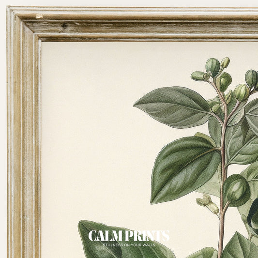 Nature sketch featuring intertwined leaves and clusters of berries