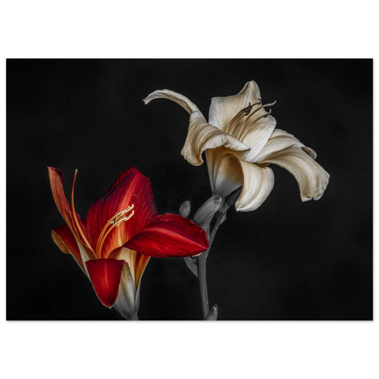 042b9aa7-ab0c-4940-9698-4f61ad672c36