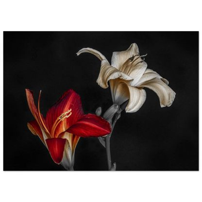 042b9aa7-ab0c-4940-9698-4f61ad672c36