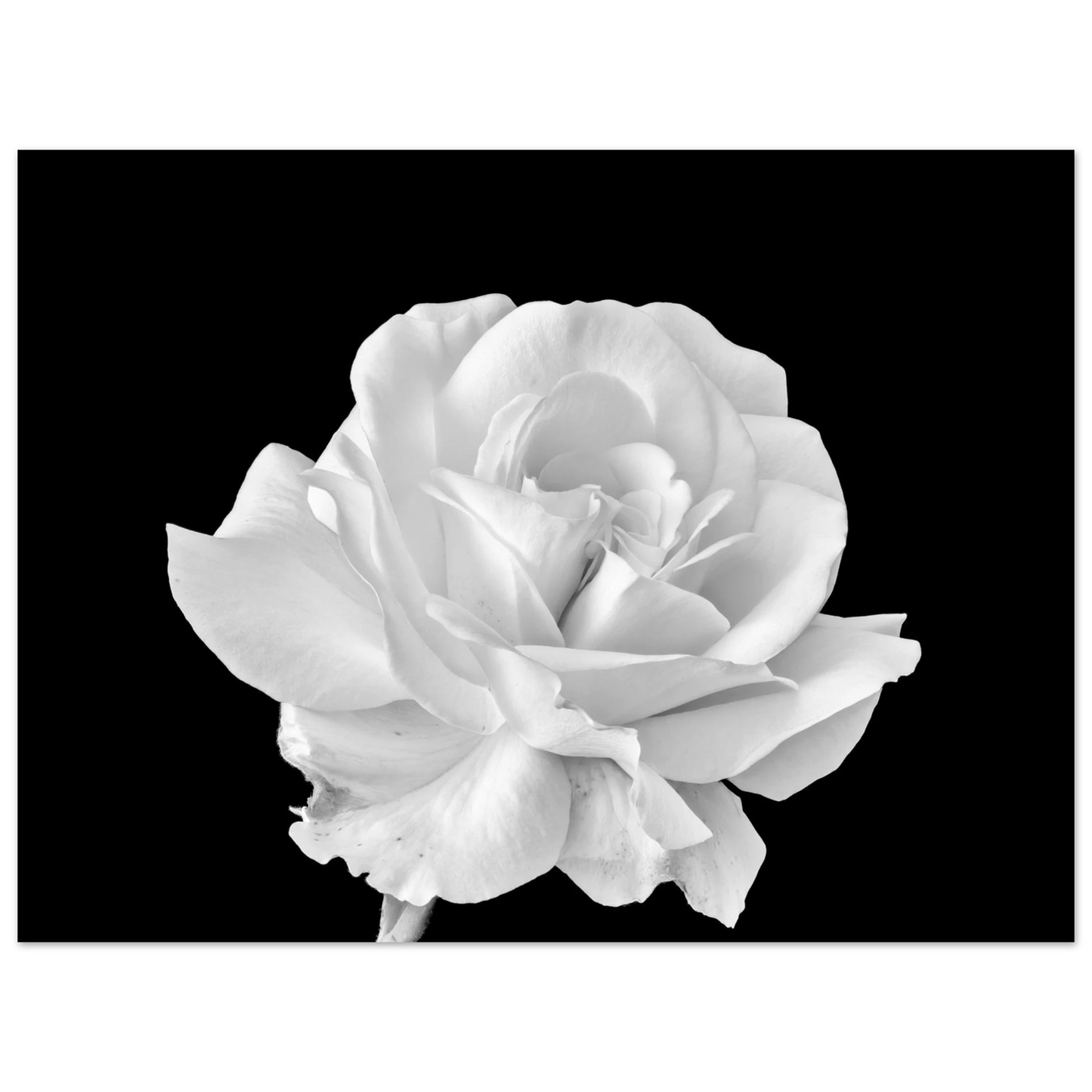 059cbabf-b004-4baa-a63c-292f67a04a90