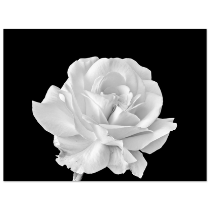 059cbabf-b004-4baa-a63c-292f67a04a90