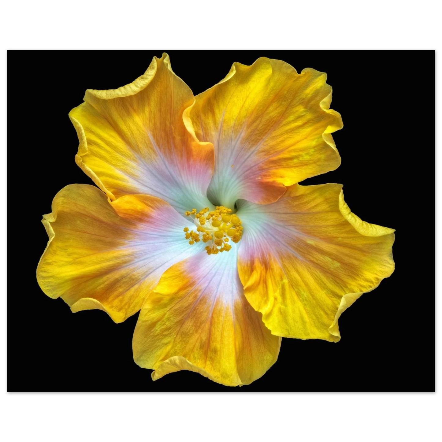 0c4477d8-fc56-41a4-ae98-81bab2191a02