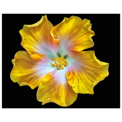 0c4477d8-fc56-41a4-ae98-81bab2191a02