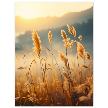 1152e8bf-95f7-4536-957b-6b886e8aadd0