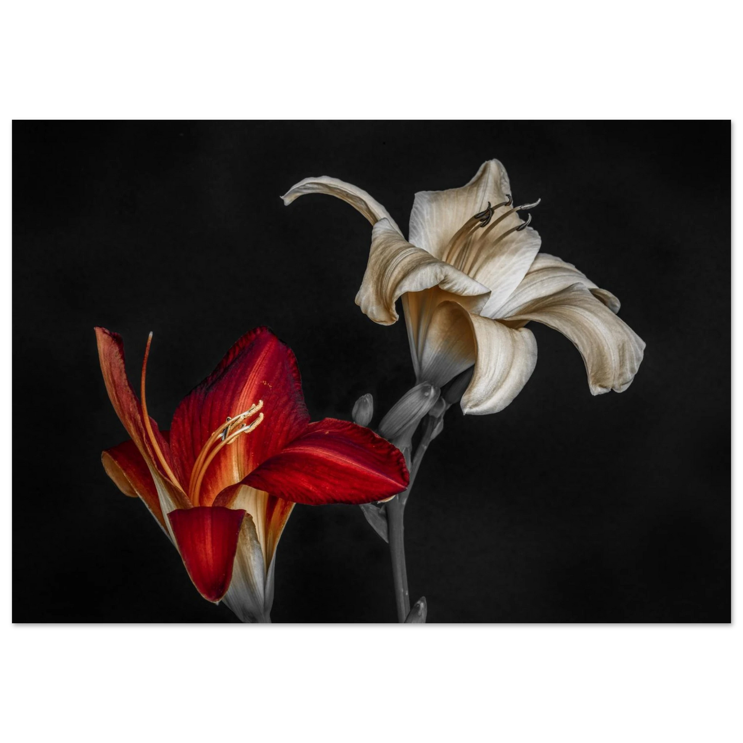 11feffbe-5c5c-4990-a945-32d465fe5a15