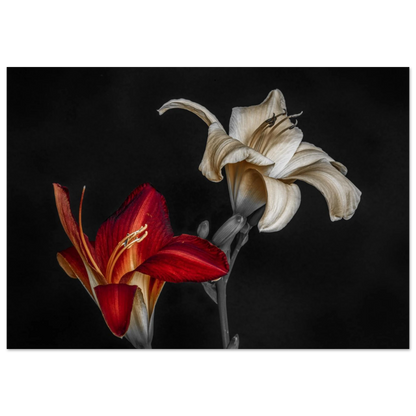 11feffbe-5c5c-4990-a945-32d465fe5a15