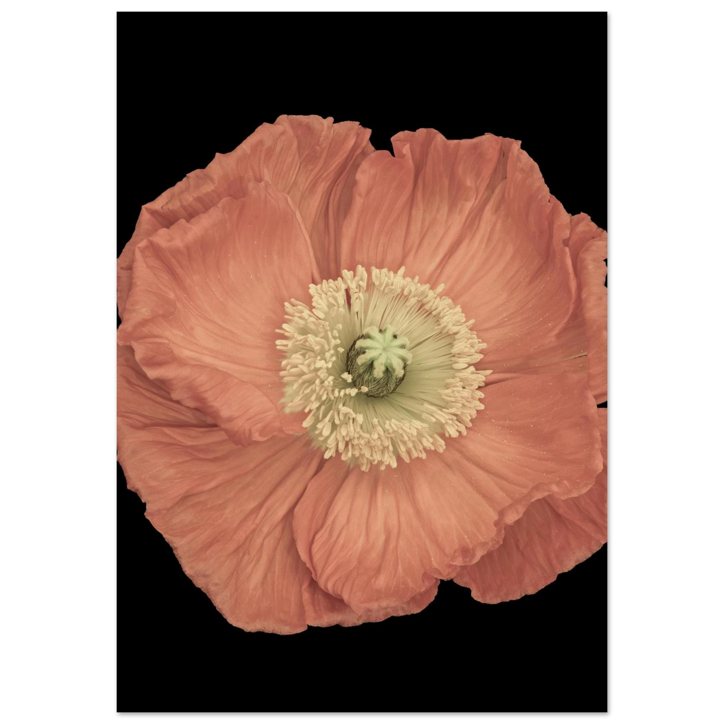 17ab6e9e-8b5a-41c1-99c6-1d31c06887f0