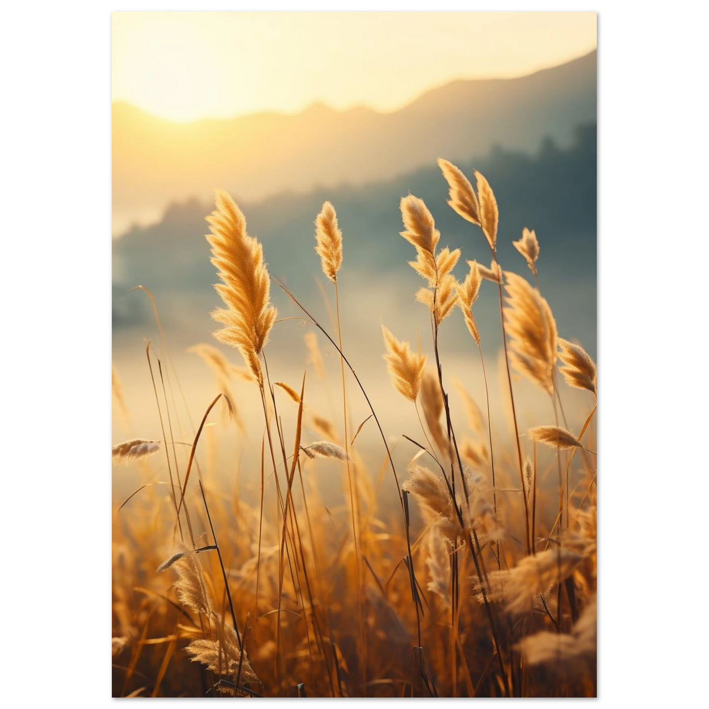 1ba578bb-a9de-4c7a-b6ea-550f44143bf8