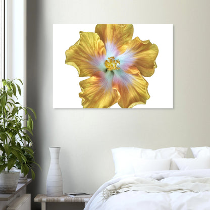 1c1f6b0b-98a3-4e00-94b3-e2cc3fe7e2a4