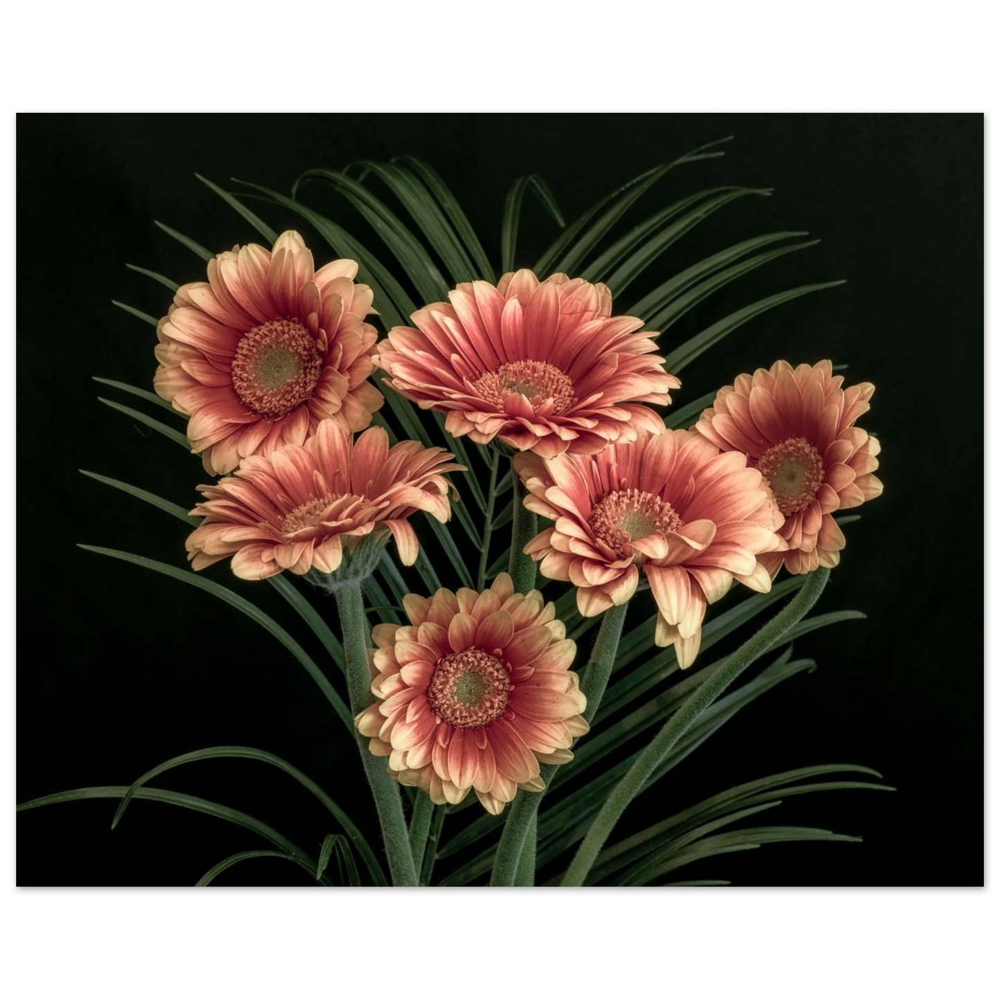 1d15fb00-f3bd-43ab-92b7-e234185f8e7e