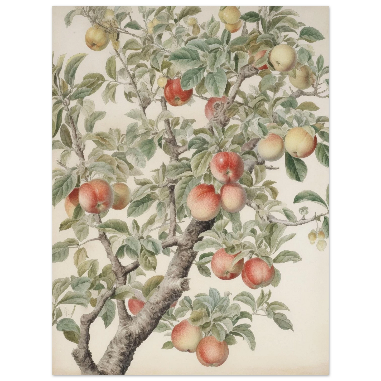 2006ff28-76ac-4a6f-bc05-bf82ddd01d5f