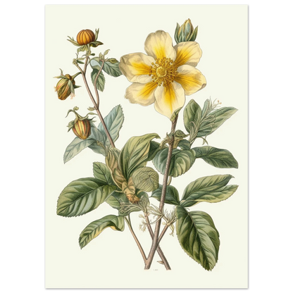 247ae92a-77ff-4e1a-8304-662f8f097371