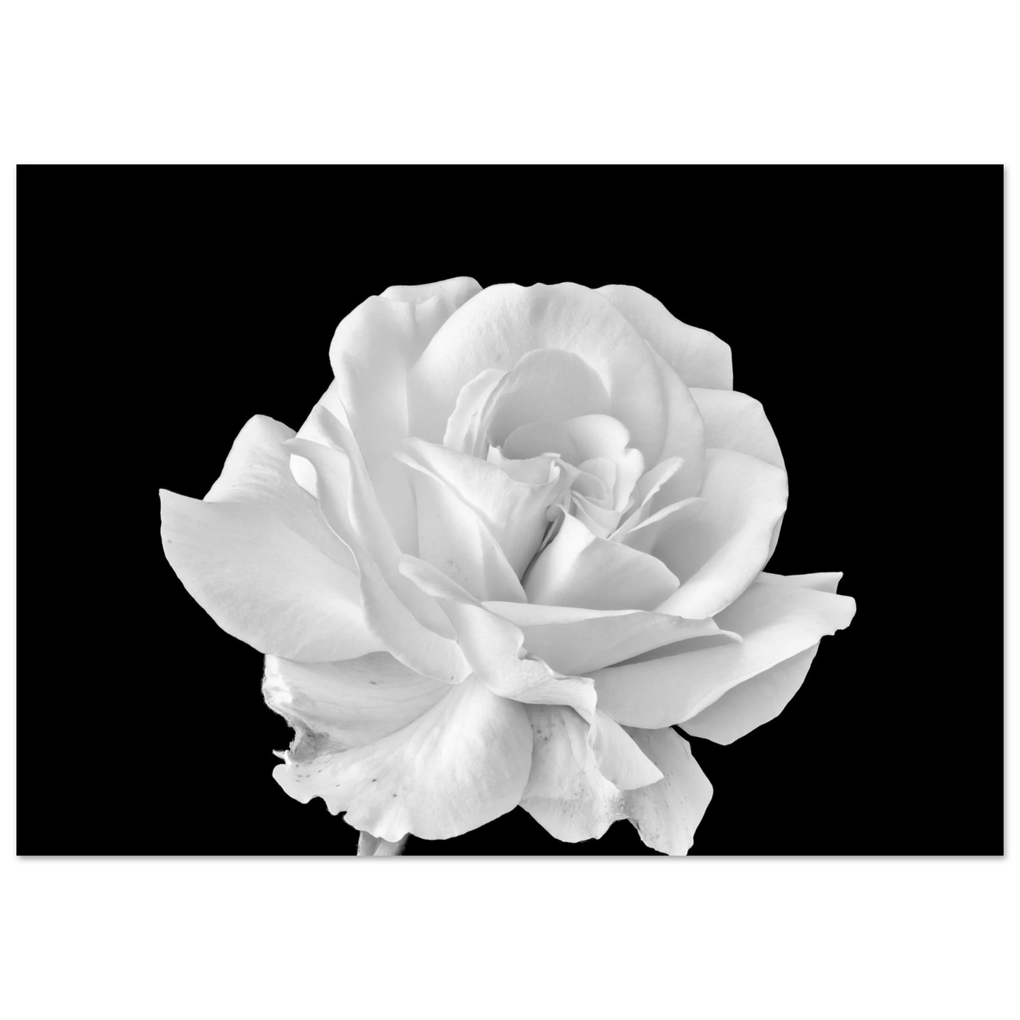 261b8b69-9162-44a3-823a-8346c5402eab