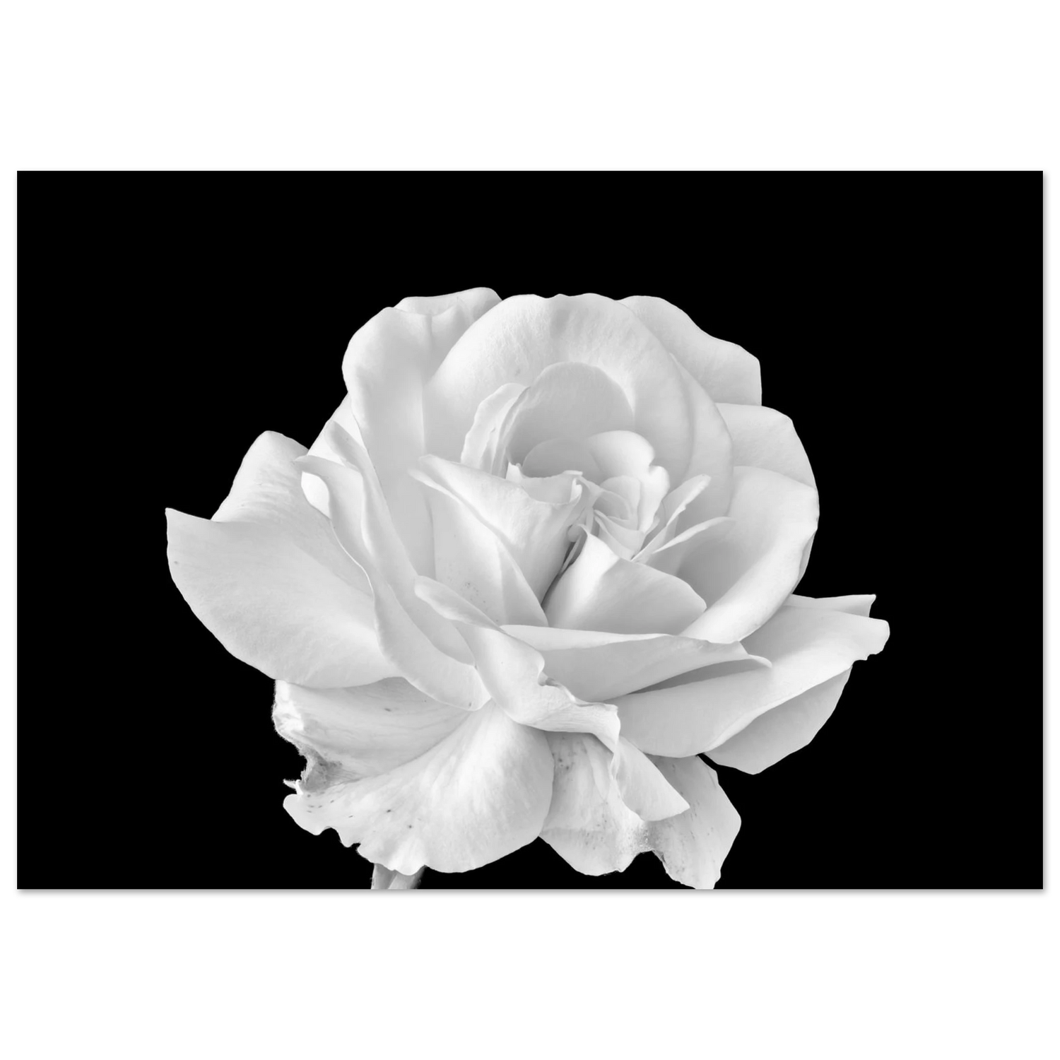 261b8b69-9162-44a3-823a-8346c5402eab