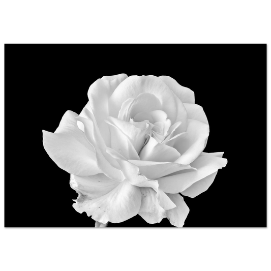 261b8b69-9162-44a3-823a-8346c5402eab