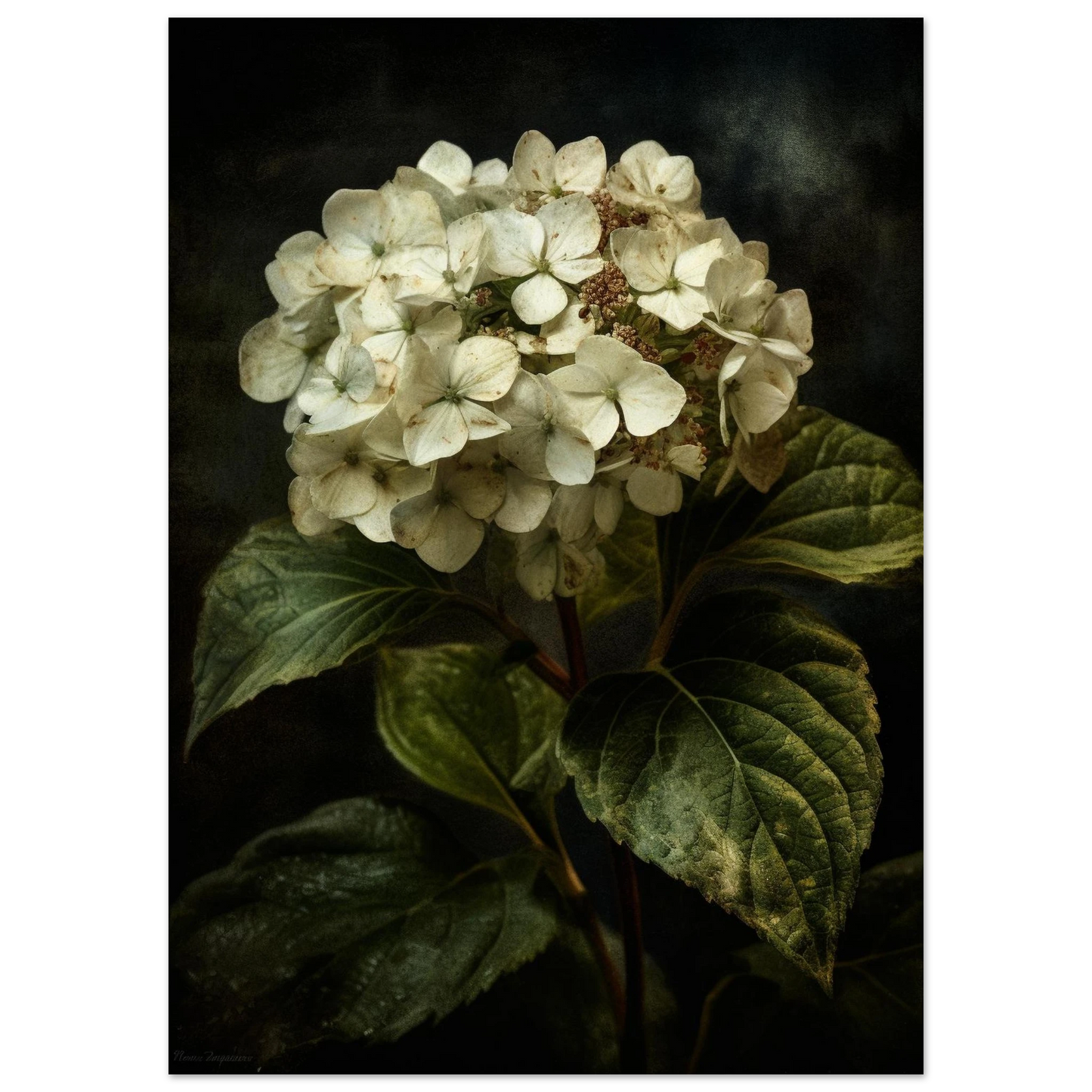 285c46c2-fb1b-46be-9df3-c9631d4d8409