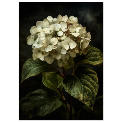 285c46c2-fb1b-46be-9df3-c9631d4d8409