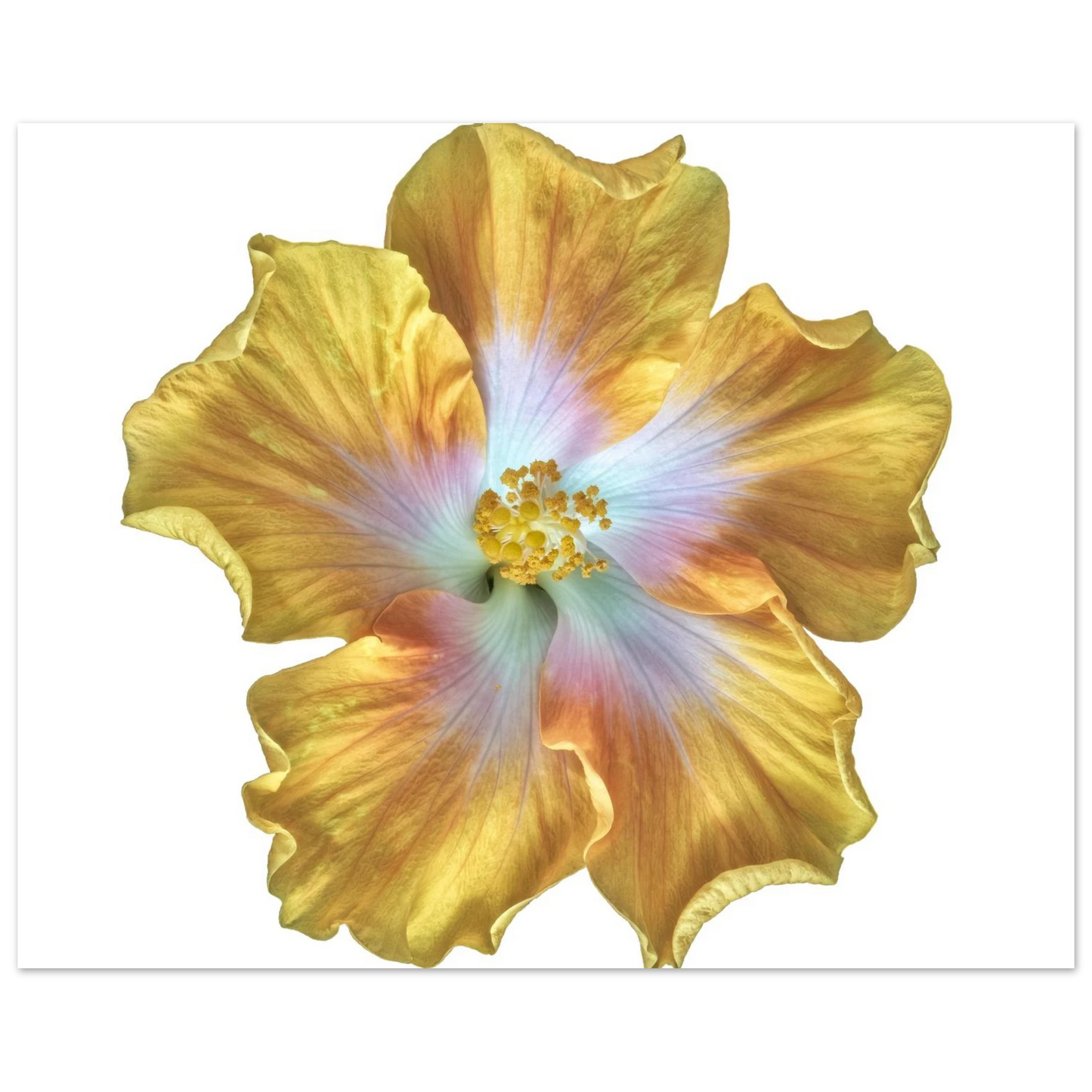 2d40282a-7df6-4a09-a385-f23b565463b7