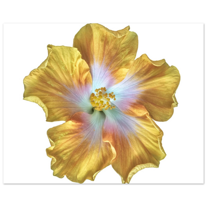 2d40282a-7df6-4a09-a385-f23b565463b7