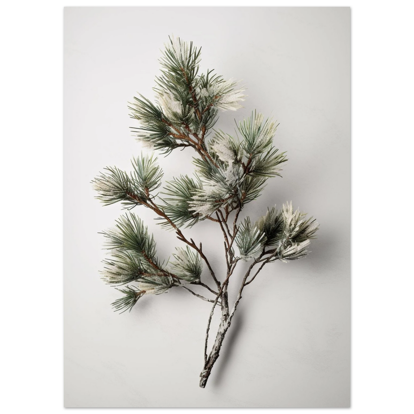 2fe289aa-5296-4fb4-afec-e1bd5086e8b1