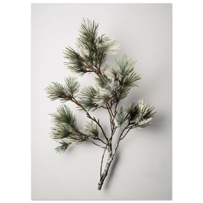 2fe289aa-5296-4fb4-afec-e1bd5086e8b1