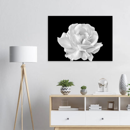 3260b11b-4323-46de-bef4-461e2c3d3df1