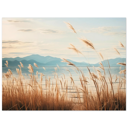 36527ec7-f89c-4ccb-b8a2-55df9c2dc3f3