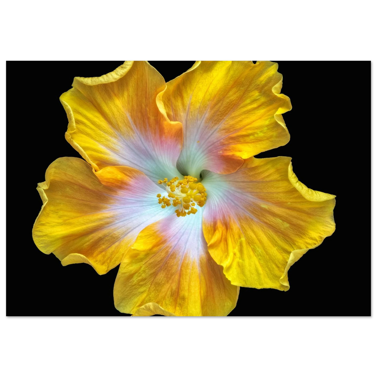 38471373-3352-43de-9f5c-20ae6ec685f5