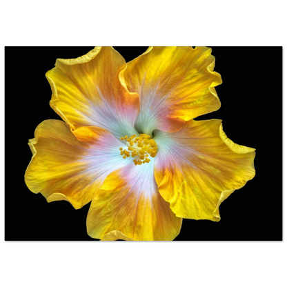 38471373-3352-43de-9f5c-20ae6ec685f5