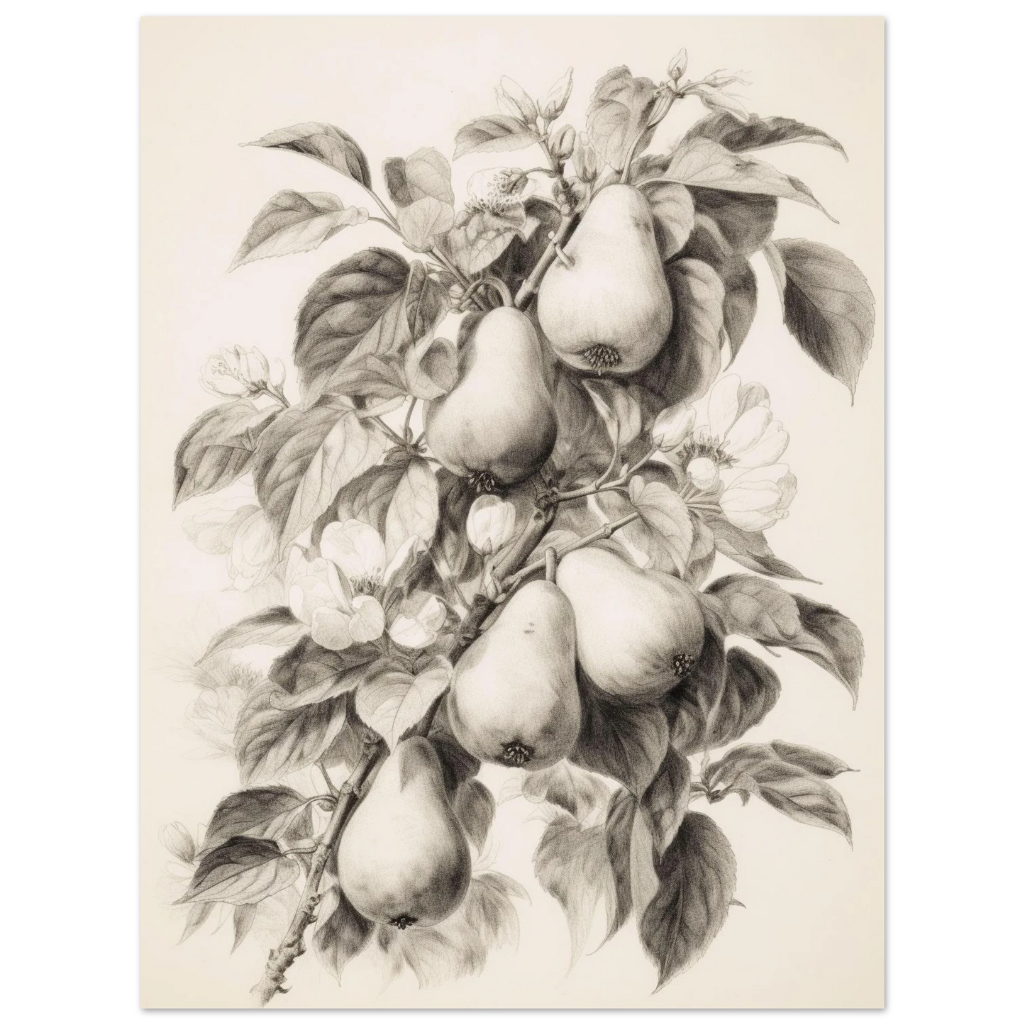 39654b1e-387c-4840-b5ba-2a99da7c164d