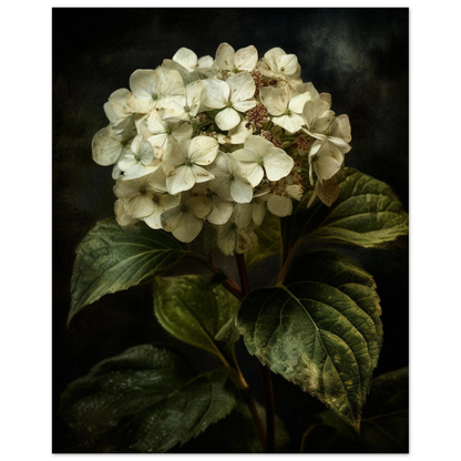 407afa38-6602-4d86-a082-3532d4c2551a