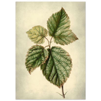 40ae83ef-5129-405f-967d-64485aa8334b