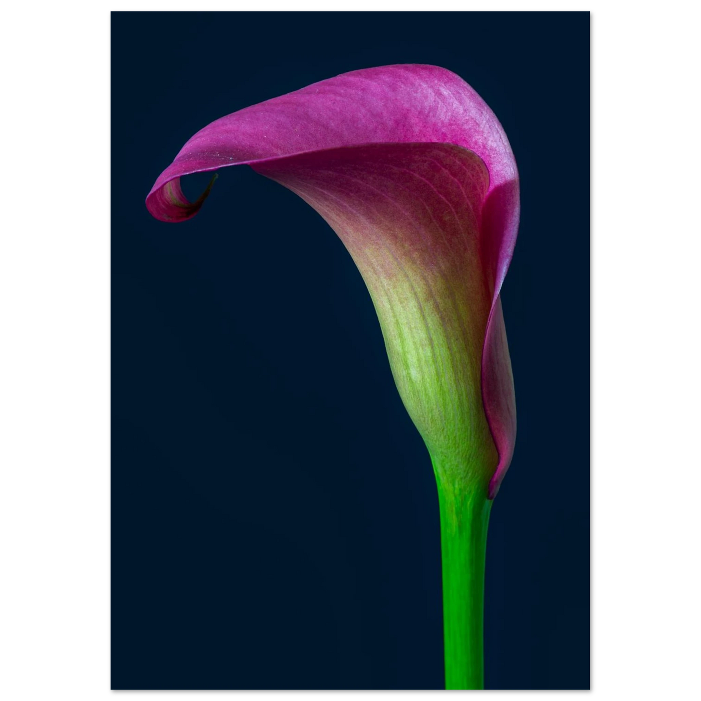 40ef9bc7-ae2b-4e83-a81f-cf79e236e440