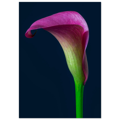 40ef9bc7-ae2b-4e83-a81f-cf79e236e440