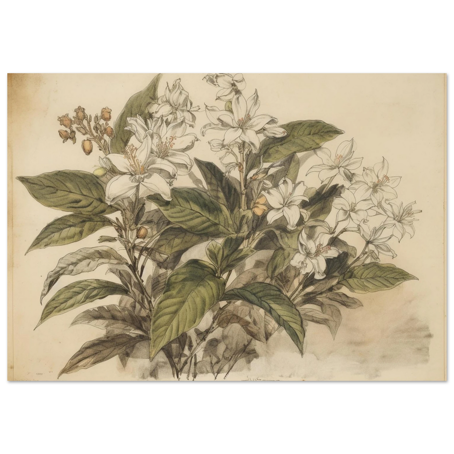 418a4114-596e-4f4c-b3bd-141dc23c8e17