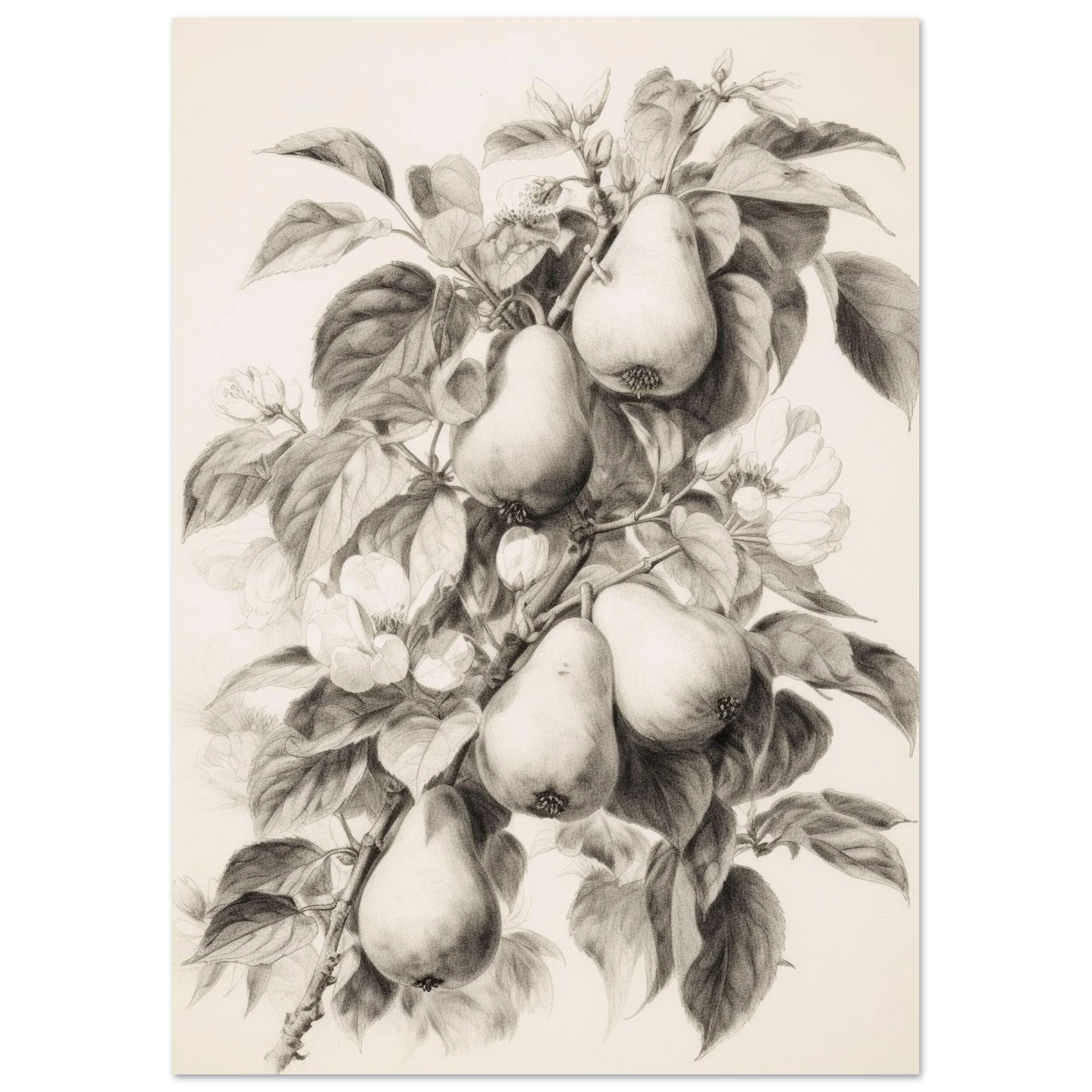 433202d4-1445-43b4-b677-c1726cd7678d