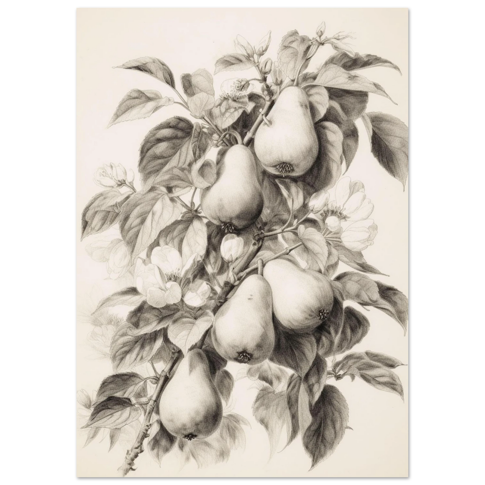 433202d4-1445-43b4-b677-c1726cd7678d