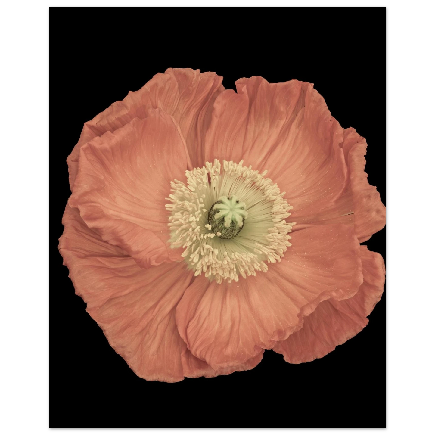 4408e65d-dbca-4a6c-9faa-9da795b3f120