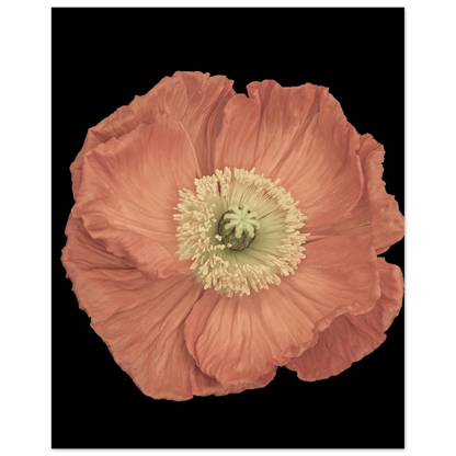 4408e65d-dbca-4a6c-9faa-9da795b3f120