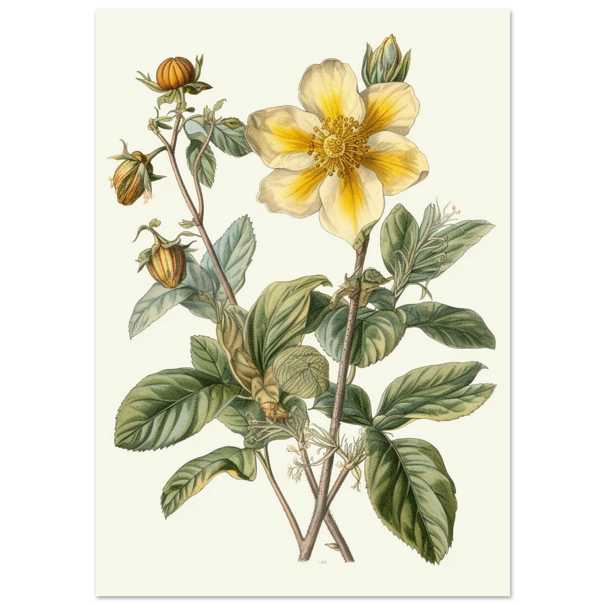 44a35be4-377e-40b6-889f-2c5b688347eb