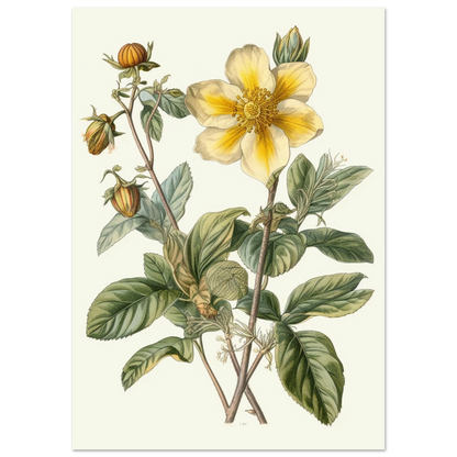 44a35be4-377e-40b6-889f-2c5b688347eb