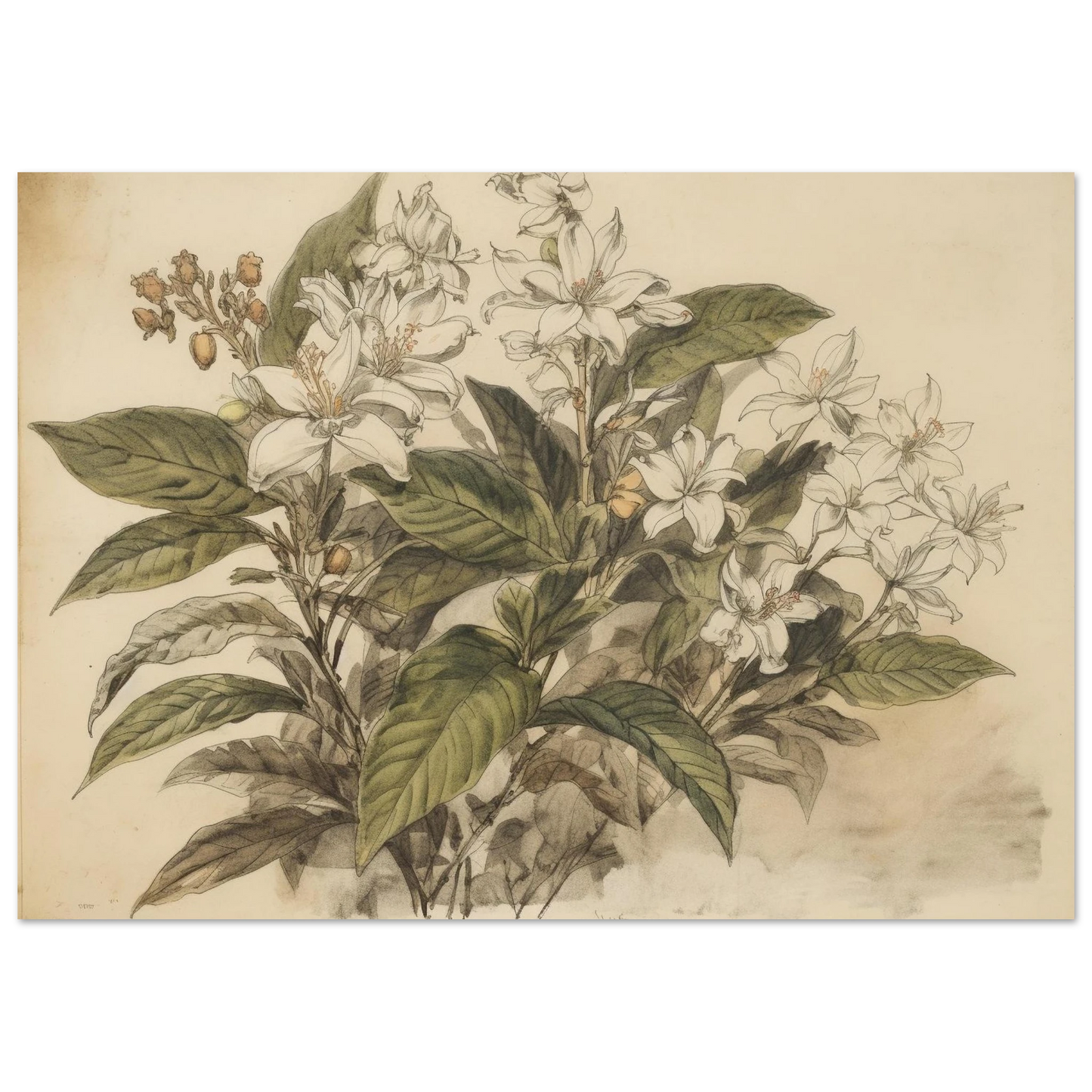 46af9f88-71fd-4925-bb16-3f834001ac5f