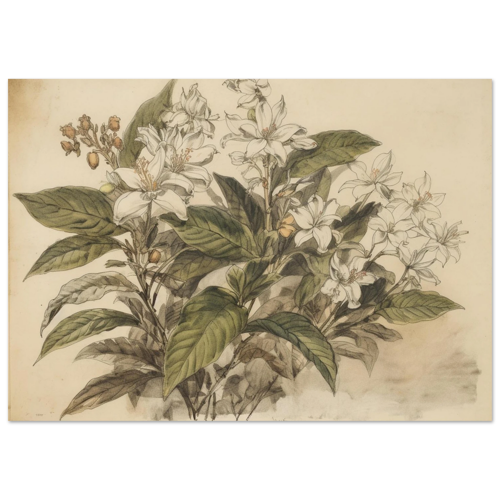 46af9f88-71fd-4925-bb16-3f834001ac5f